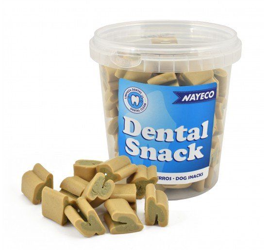 snack nyc dental snack