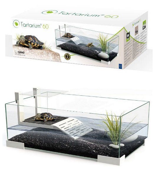 11741  2 tortuguera de cristal ciano tartarium
