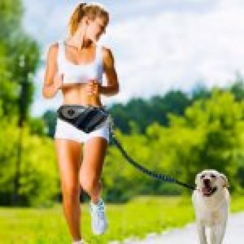 freedog jogging belt1