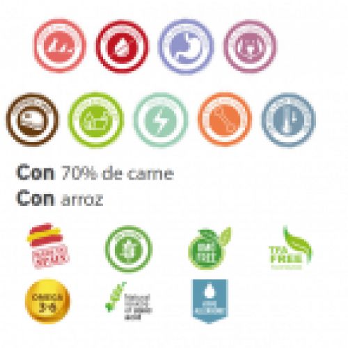 Sin título