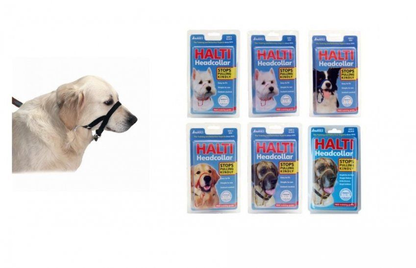 e14e0bca15ce8a2e881f654b26828abcda51d342