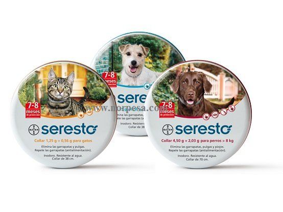 Bodegón Seresto completo