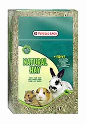 b4d3e0fe6c20e11688e0fafc0764dc30c3860007