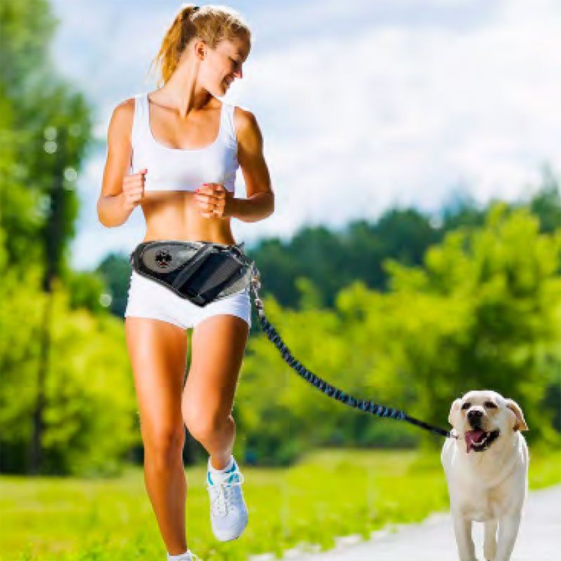 freedog jogging belt1