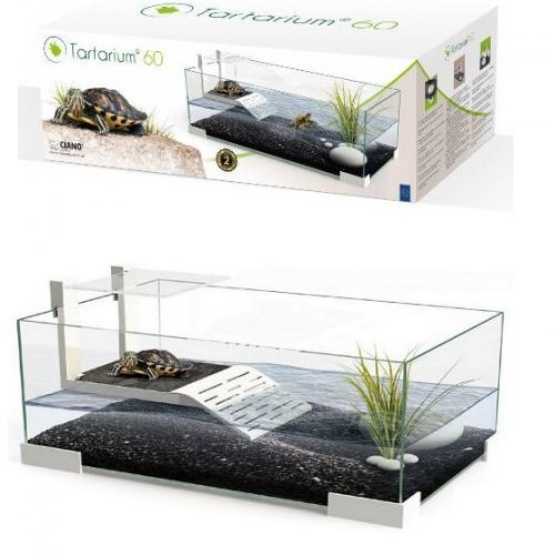 11741  2 tortuguera de cristal ciano tartarium