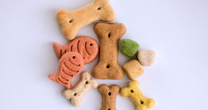 productos paar mascotas en gijón