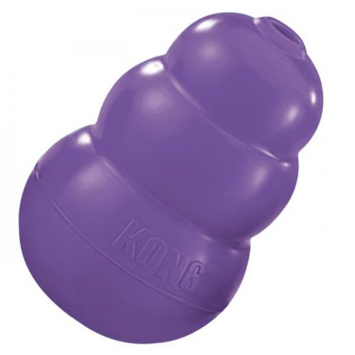 Senior KONG2 700x700