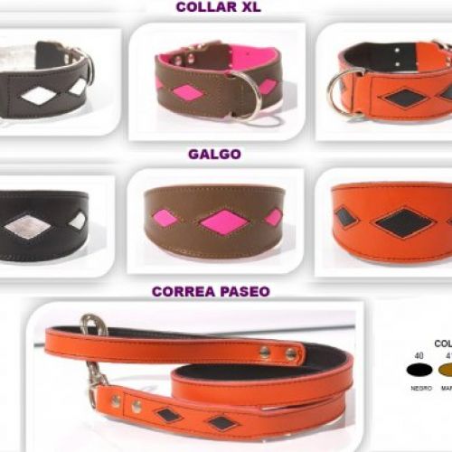 Youpet Coleccion Royal / Serie: DIamond