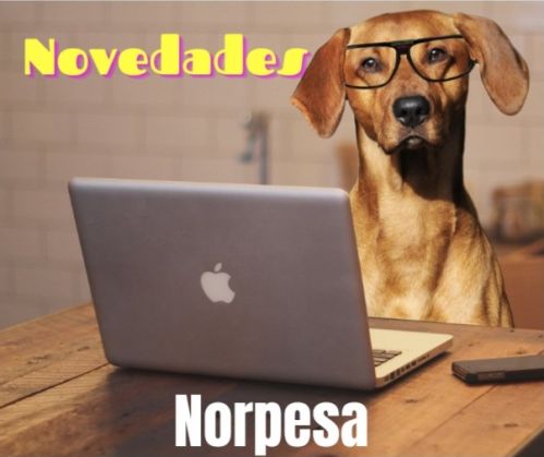 Novedades