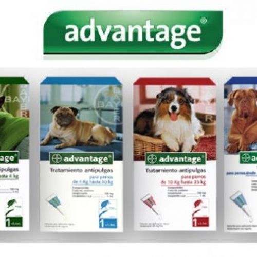 afbf15b85a08c6dc5539e5653ad3c636b39281ba