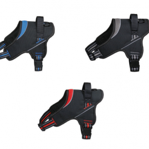 b6a9117178b9acbf641a0699132030f302cf356c