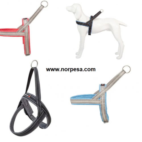 6031802e02002784447033f7207f4e93694086b1