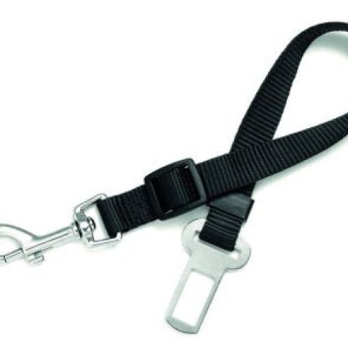 85158ef77b8e39ff80075cde094ba2060620b36a