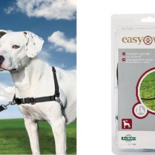 24a608587cb9e5deb85e5e2ec1515328062ff8b4