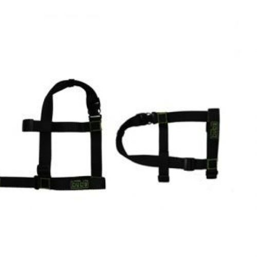 aaaaa