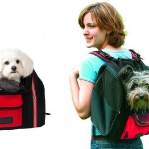 547f9efb35cb2819c906415eab63911cd79650c3