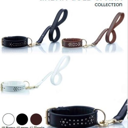 Youpet serie URBAN GOLD SPARK