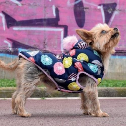 a9493decaaf109d622b861a3b3fd86bc4b165d78