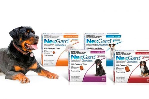 VETERINARIOS