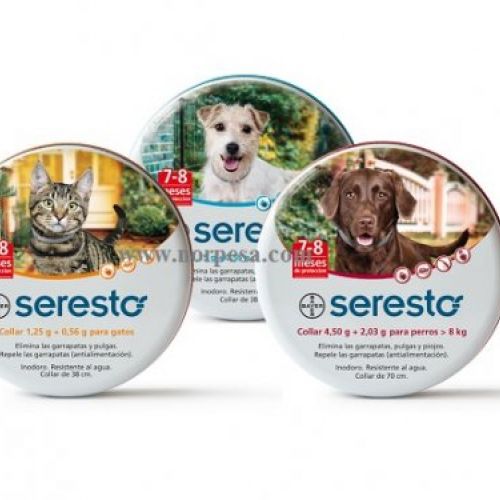 Bodegón Seresto completo