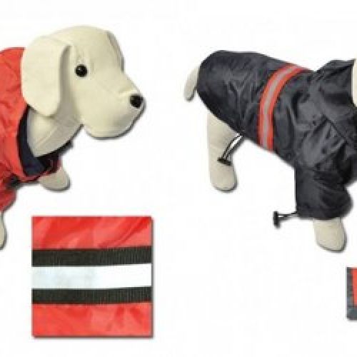 00e80a15cd5b53ca9f72fbd2aa7dce02cce4ef4d