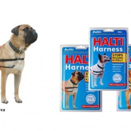 5416d05c65d6ede4c99fcf5904665f354a014d9a