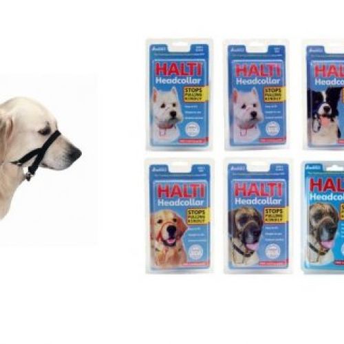 e14e0bca15ce8a2e881f654b26828abcda51d342