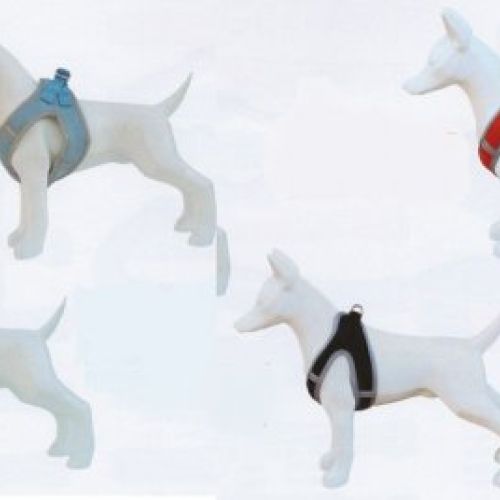 6f1ca5331a6e63c47377691e65b9b82607e88e3c