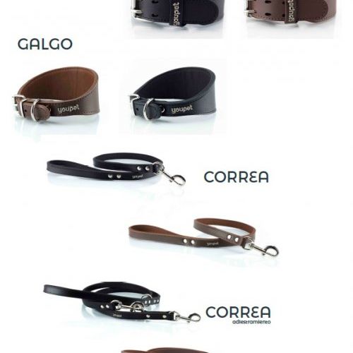 8be0011104af724411e6bd4a6a1a9331d4e69e78